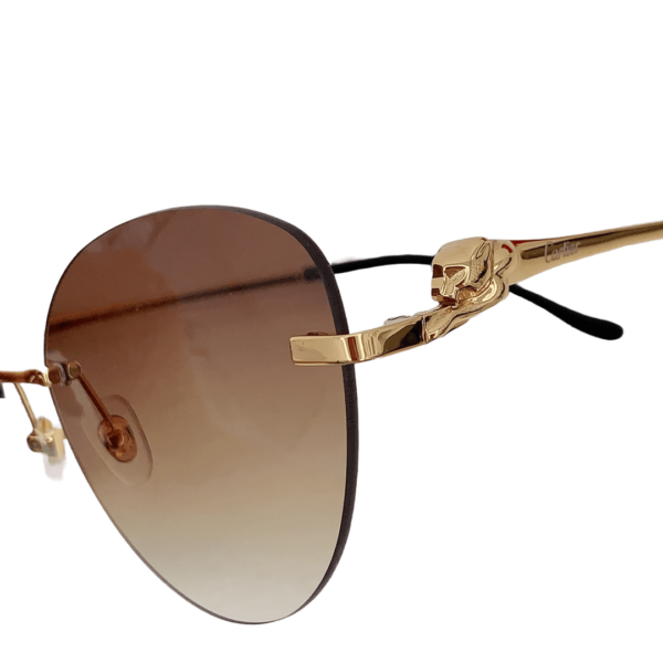 Cartier CT0269S Lunettes de soleil – Un style éblouissant et un ajustement parfait
