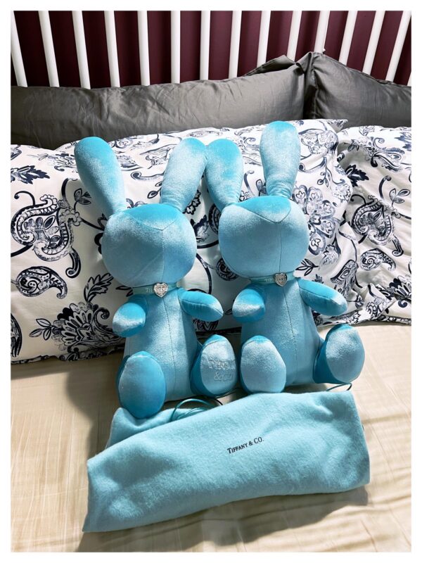Coffret Cadeau Peluche Lapin Tiffany (Lot de 2, Bleu)