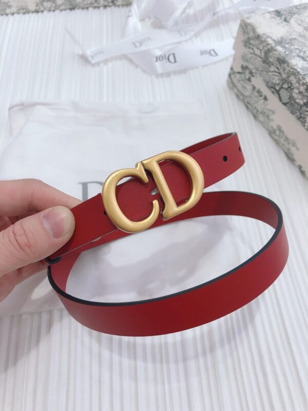 L’Élégance Équine – La Signature de Style avec la Ceinture Saddle de Dior