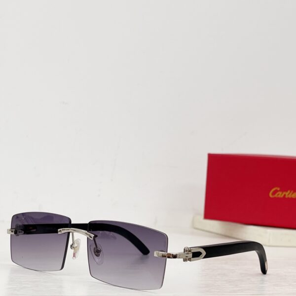 Lunettes de soleil Cartier CT0272S